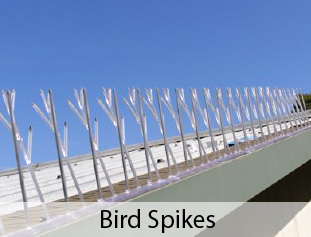 Bird-Spikes