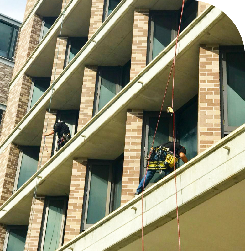 Rope Access Team cleaning windows at a University in Sydney