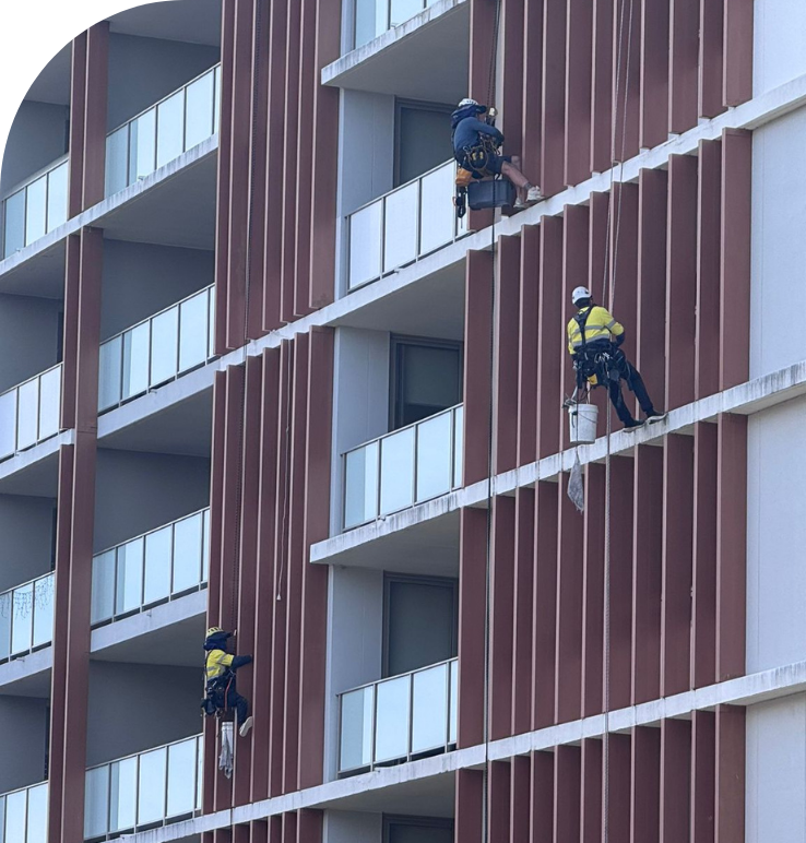 Services- High Window Cleaning using Rope Access